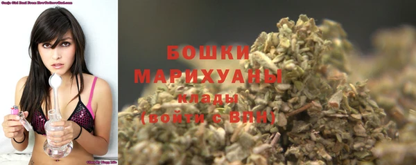 молекула духа Заволжье